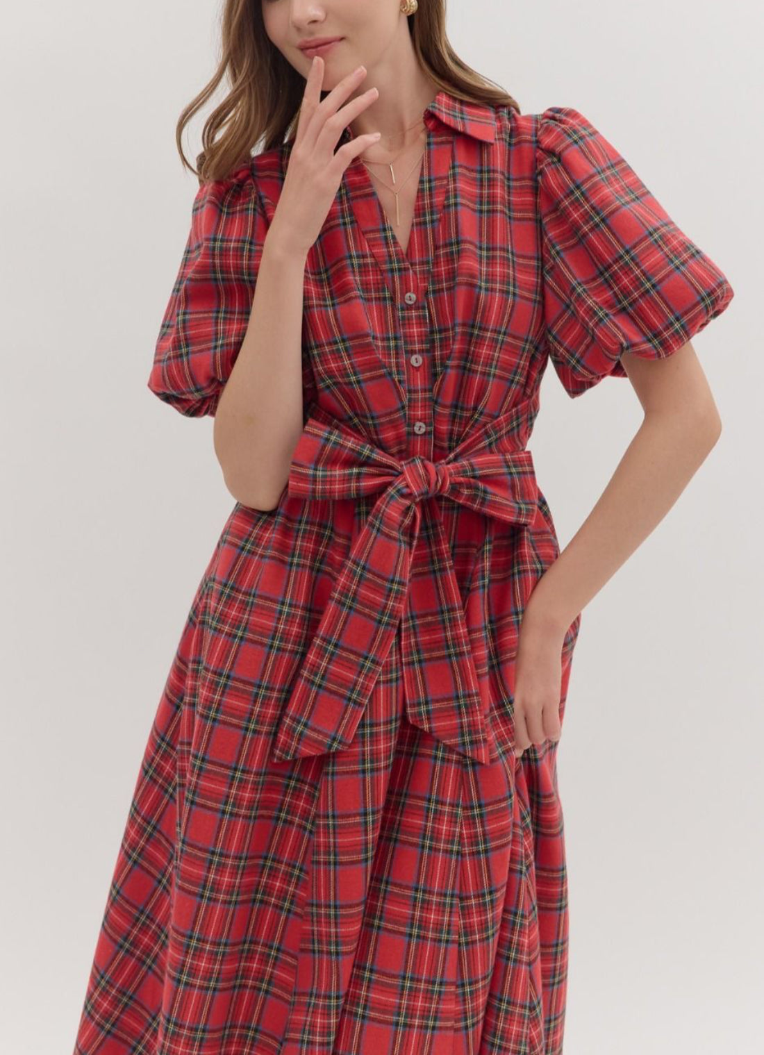 Mrs Clause Plaid Dress