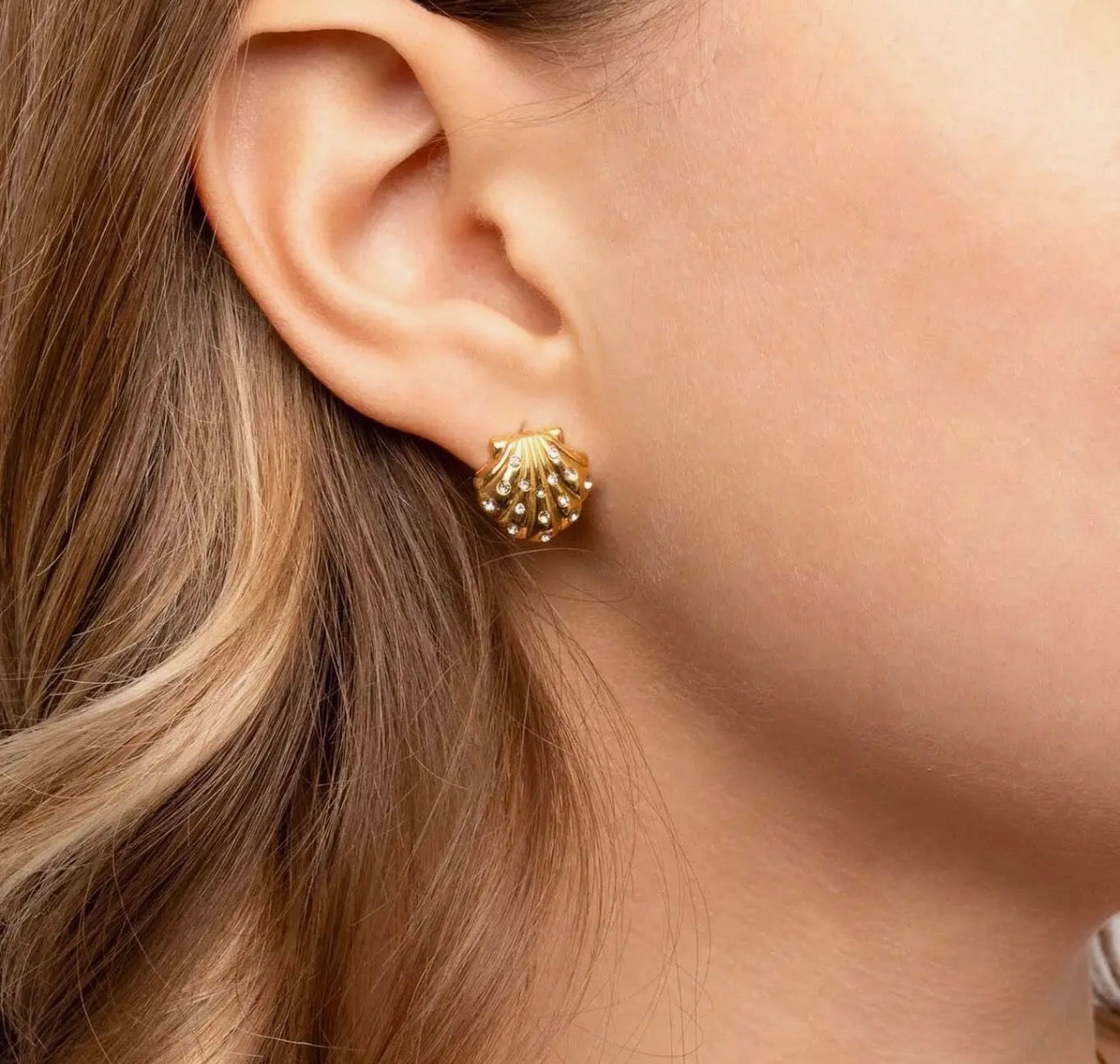 Shell Studs