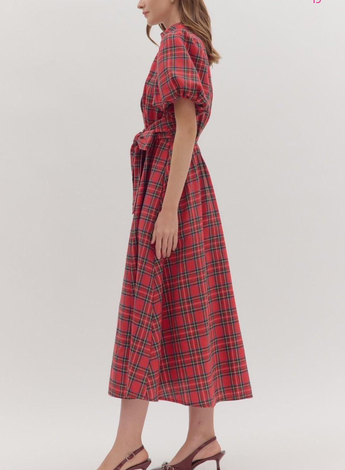 Mrs Clause Plaid Dress
