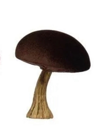 Velvet Mushrooms