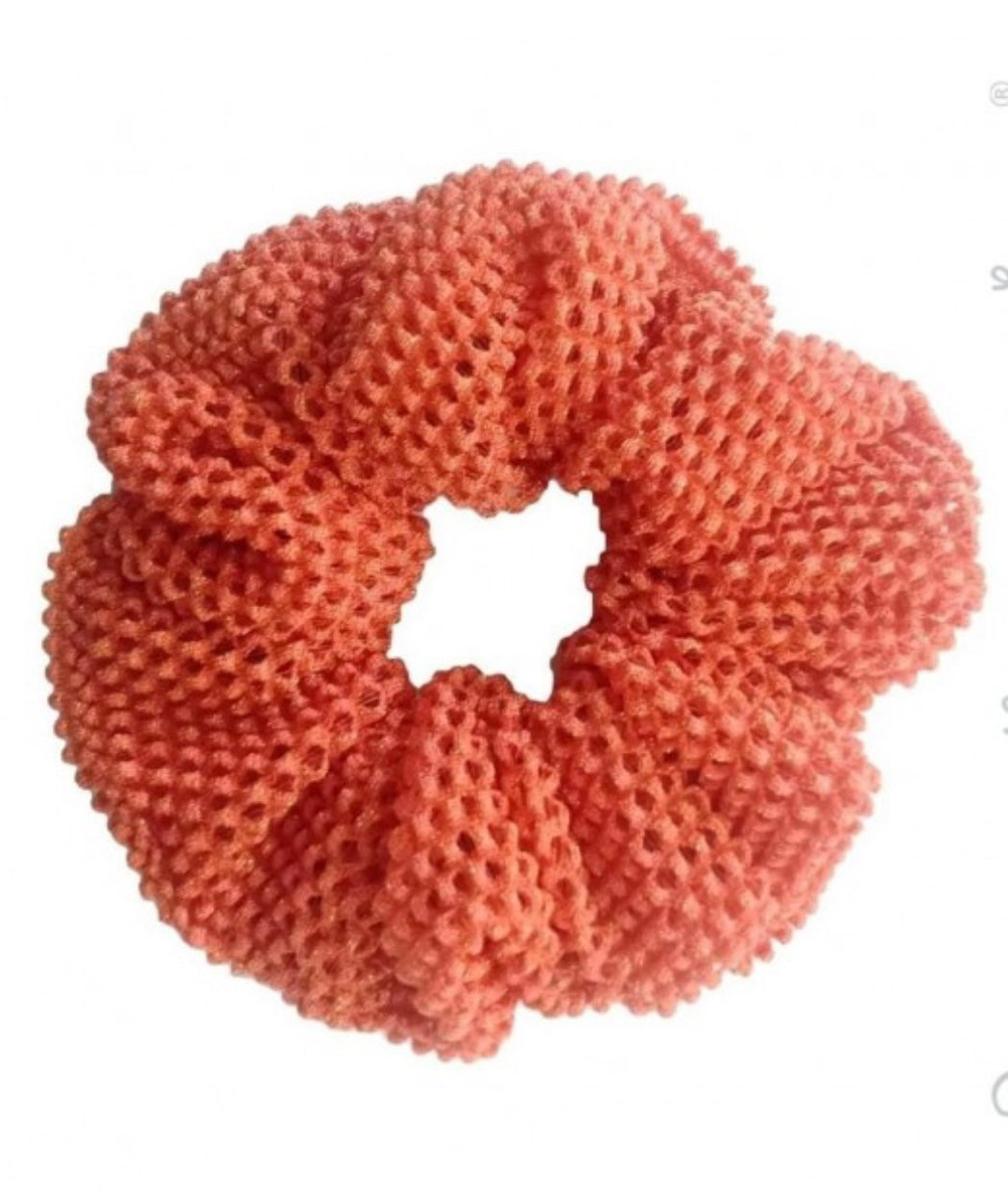 Mesh Scrunchie